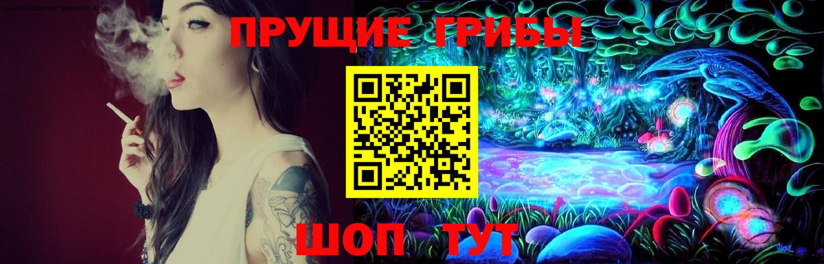 Галлюциногенные грибы Cubensis Тосно